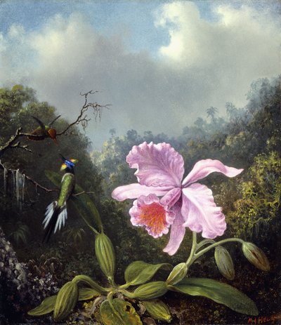 Stilleben med orkidé og kolibrier, ca. 1890-tallet av Martin Johnson Heade