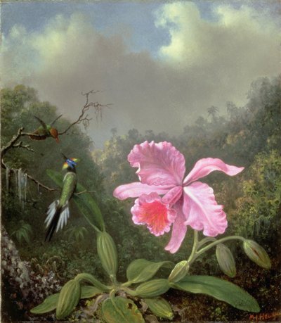 Stilleben med en orkidé og et par kolibrier, ca. 1890-tallet (olje på lerret) av Martin Johnson Heade