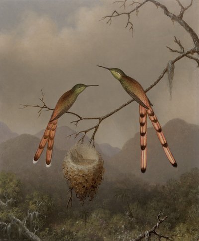  av Martin Johnson Heade