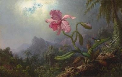  av Martin Johnson Heade