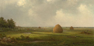 Utsikt over Marshfield av Martin Johnson Heade
