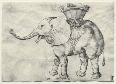 En elefant med Howdah av Martin Schongauer