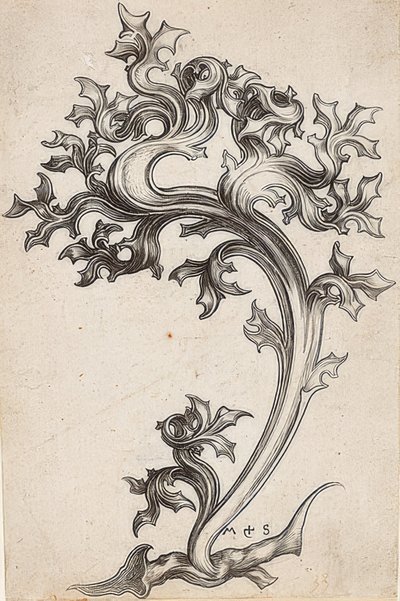 Bladpynt fra en tistel av Martin Schongauer