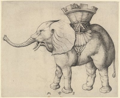 Elefant av Martin Schongauer
