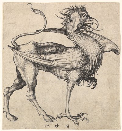 Griffin, ca. 1435-1491. av Martin Schongauer