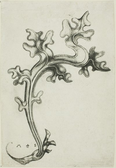  av Martin Schongauer