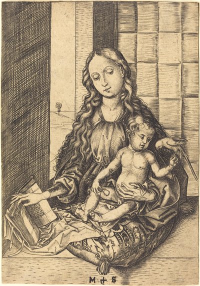 Madonna med en papegøye av Martin Schongauer