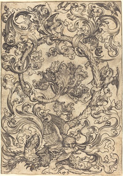 Ornament med ugle hånet av dagfugler av Martin Schongauer
