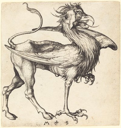 Griffinen av Martin Schongauer