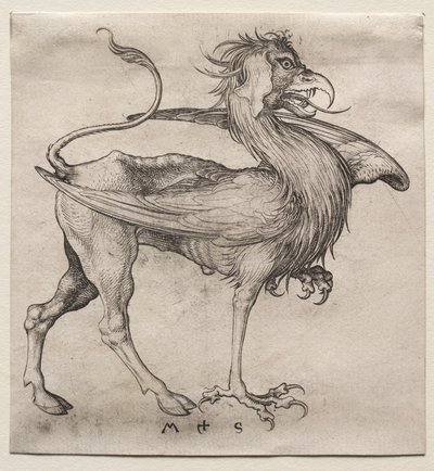 Griffinen av Martin Schongauer