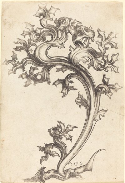 Tistel Ornament av Martin Schongauer