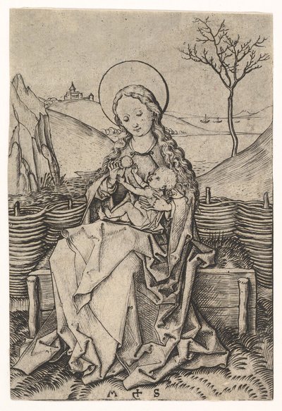 Jomfru og barn på en gresskledd benk, ca. 1435-1491. av Martin Schongauer