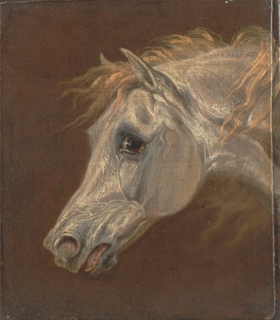 Hodet til en grå arabisk hest av Martin Theodore Ward