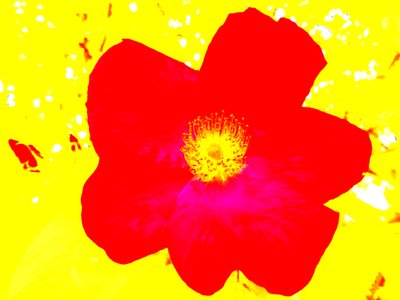Pop Art Homage Andy Warhol av Martina Konitzky