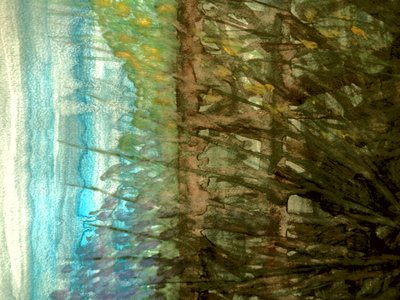 sommerfelt av Martina Konitzky