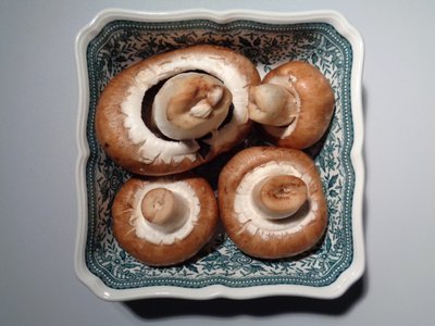Villeroy og Boch porselen med sopp av Martina Konitzky