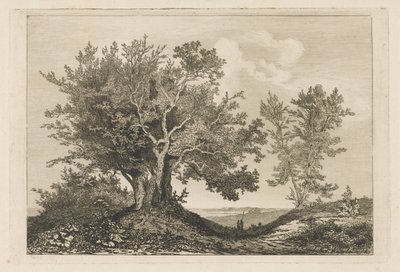 Landevei mellom de to trærne av Martinus Antonius Kuytenbrouwer jr.