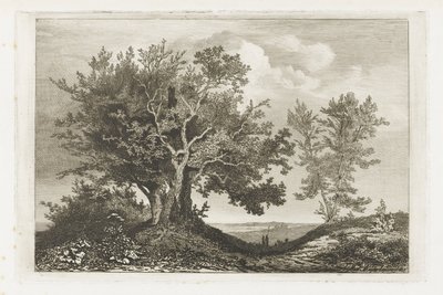 Landevei mellom de to trærne av Martinus Antonius Kuytenbrouwer jr.