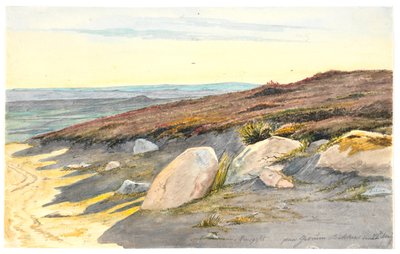Fra Gærumsbakker i Vendsyssel, 22. mai 1833 av Martinus Rørbye