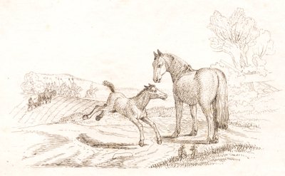 Illustrasjon til "Halv hundre fabler for barn" av Hey av Martinus Rørbye