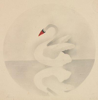 Svane. av Mary Altha Nims