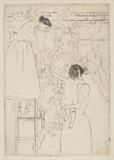 Innsamling av frukt, ca. 1893. av Mary Cassatt