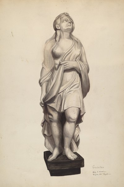 Galatea figurhode, ca. 1940. av Mary E Humes