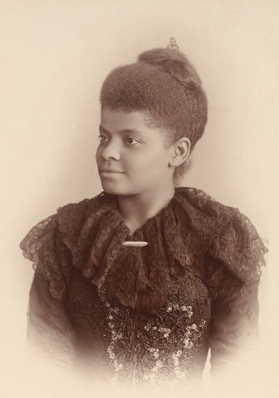 Ida B. Wells Barnett av Mary Garrity