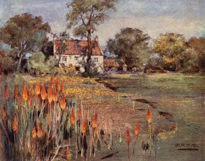 Scottish Gardens: Cocker's Nursery, Aberdeen (farge litho) av Mary Georgina Wade Wilson