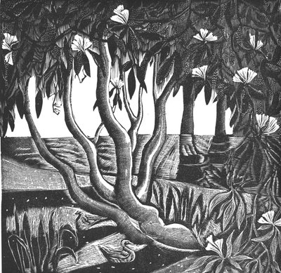Rhododendrons, Holland Park, 2006 (vinylgravering) av Mary Kuper