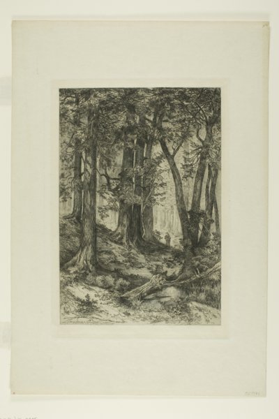 En California-skog av Mary Nimmo Moran