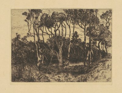 Ensomhet av Mary Nimmo Moran