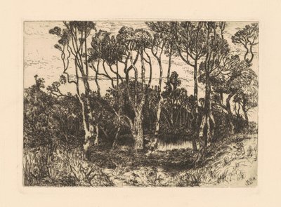 Ensomhet av Mary Nimmo Moran