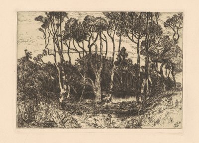 Ensomhet av Mary Nimmo Moran