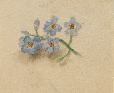  av Mary Vaux Walcott