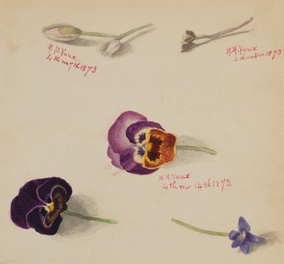  av Mary Vaux Walcott