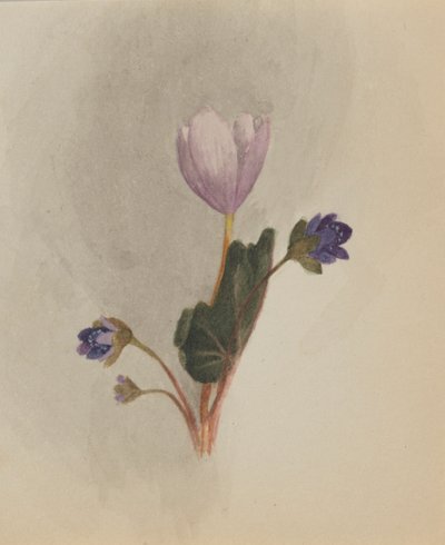  av Mary Vaux Walcott