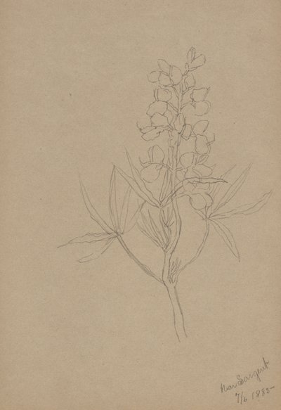  av Mary Vaux Walcott