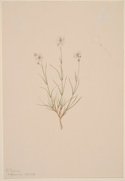  av Mary Vaux Walcott