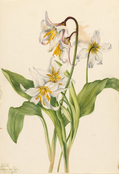  av Mary Vaux Walcott