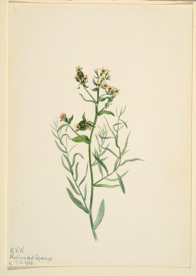  av Mary Vaux Walcott