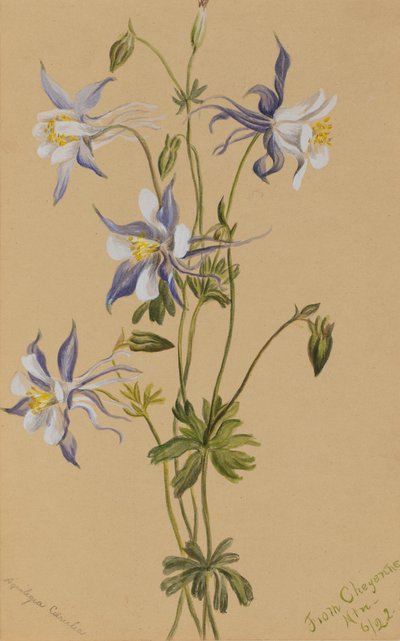  av Mary Vaux Walcott
