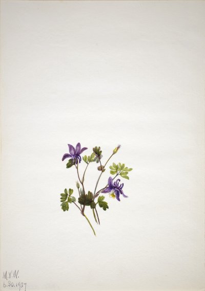  av Mary Vaux Walcott
