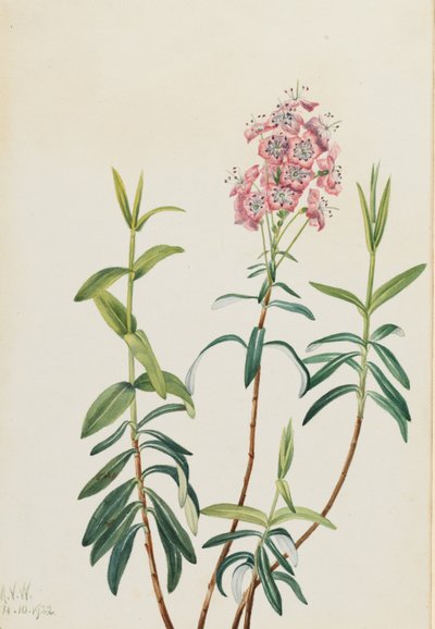  av Mary Vaux Walcott