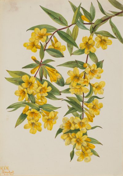  av Mary Vaux Walcott