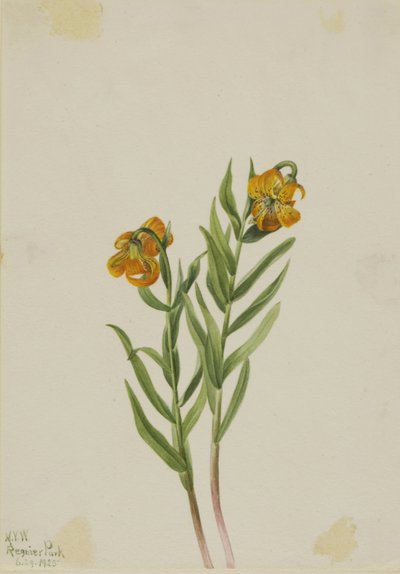  av Mary Vaux Walcott