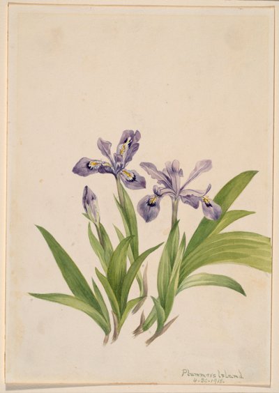  av Mary Vaux Walcott