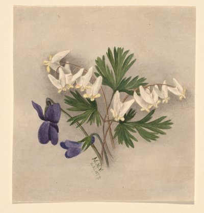  av Mary Vaux Walcott