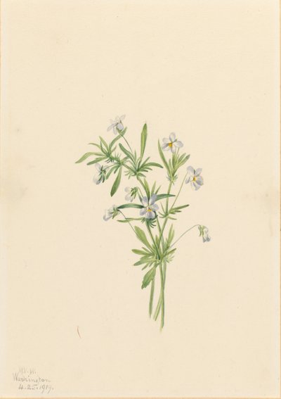  av Mary Vaux Walcott