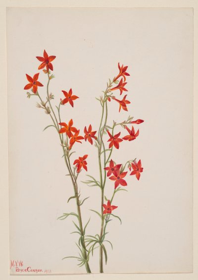  av Mary Vaux Walcott